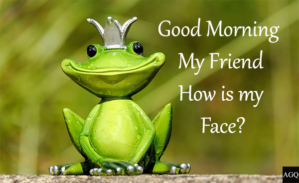 Funny Good Morning Quotes for Friends