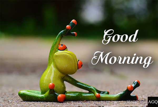 good morning friends images funny frog