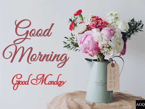 good morning monday flowers images