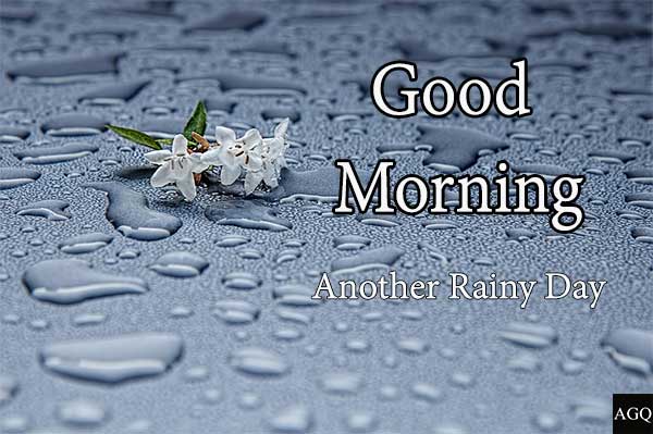 good morning rainy day photo