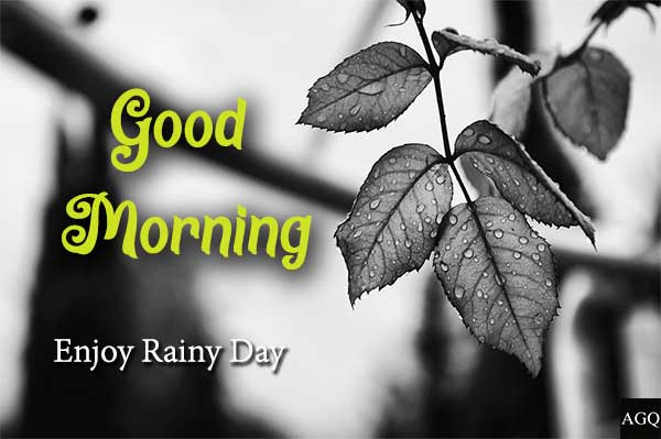 good morning rainy day pictures