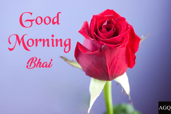 bhai good morning