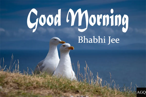 good morning dear bhabhi jee pics