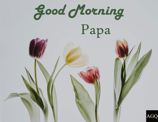 good morning papa images for mobile
