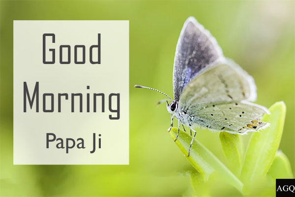 good morning papa ji images in hindi