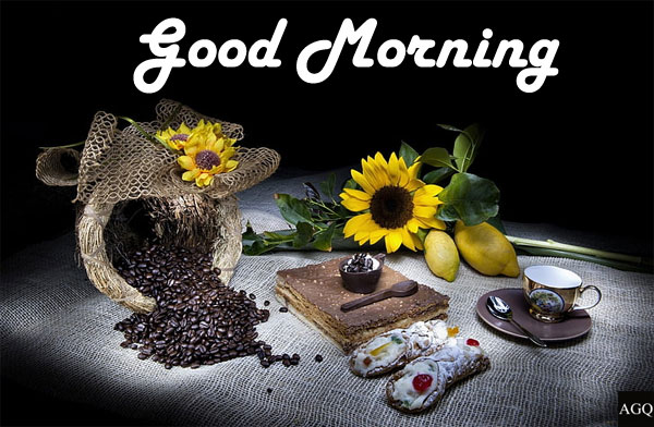 good morning coffee sunflower