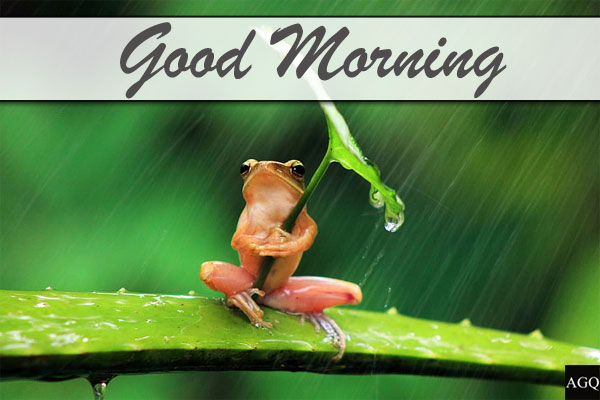 good morning water rain