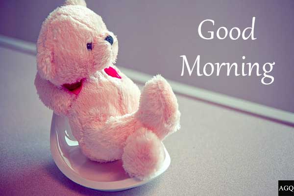 good morning happy teddy day images