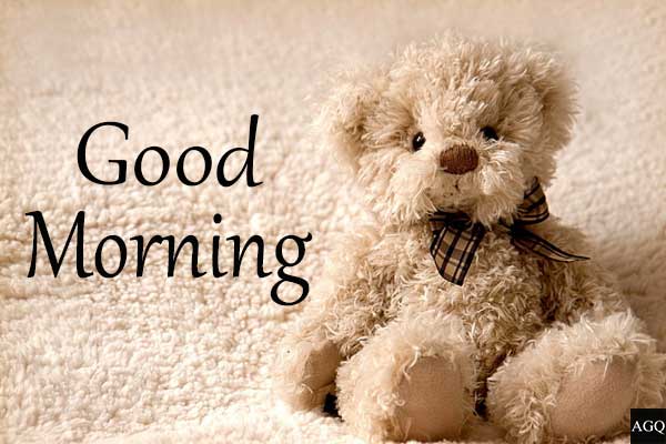 good morning teddy bear images hd