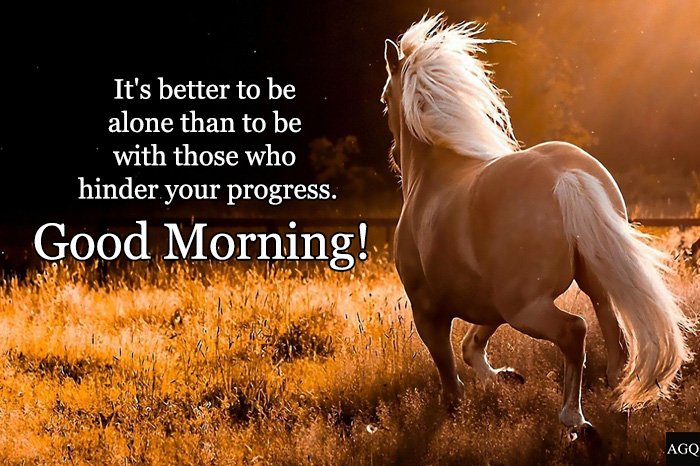 Good morning horse images with quotes