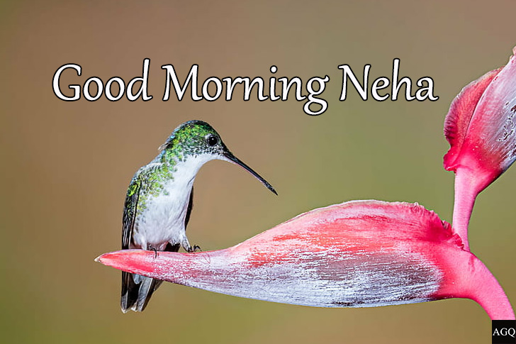 Good morning neha name images