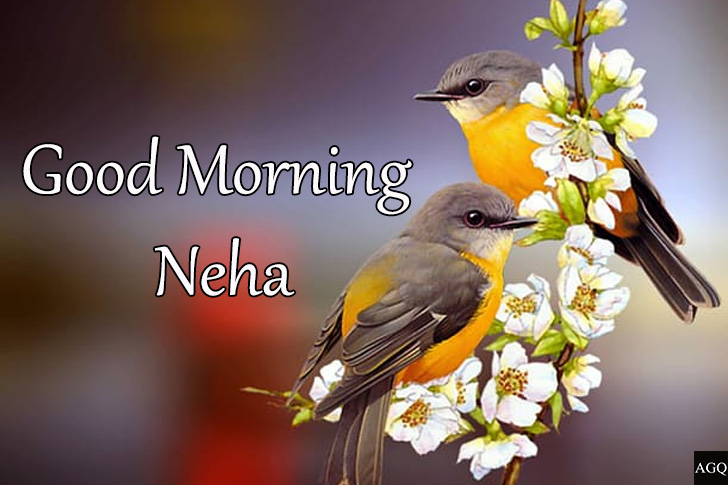 Good morning neha picture