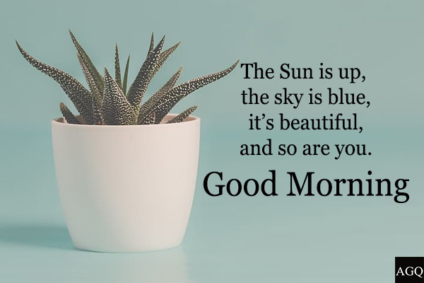 Good morning plant images with quotes
