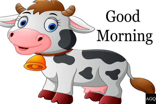 Good morning cartoon cow images