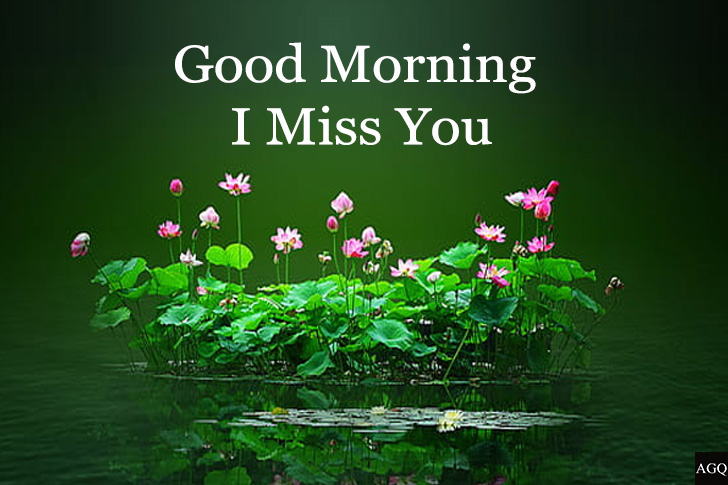 good morning miss you image