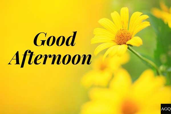 yellow Good afternoon images