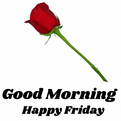 Free Good Morning Happy Friday Flowers Gif