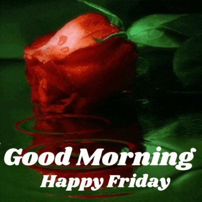 Good Morning Happy Friday Flowers Gif with rain