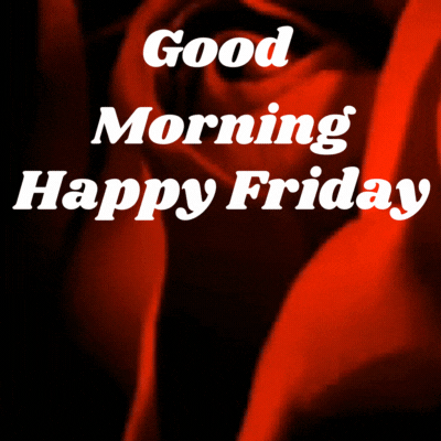 Good Morning Happy Friday Flowers Gif with red rose