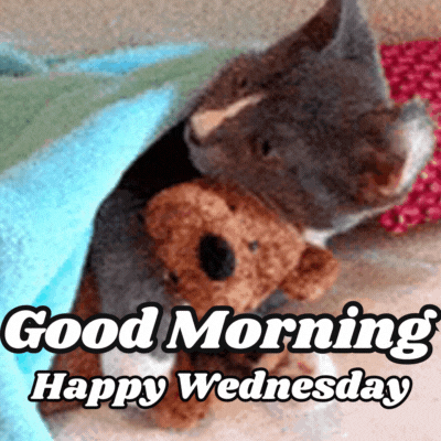 Good Morning Happy Wednesday gif free download