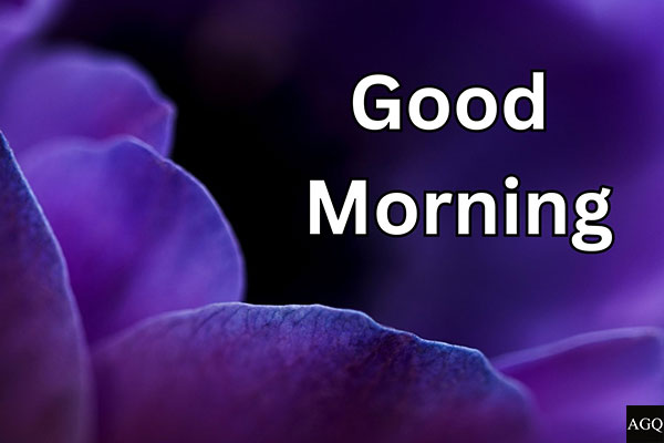 Purple good morning image