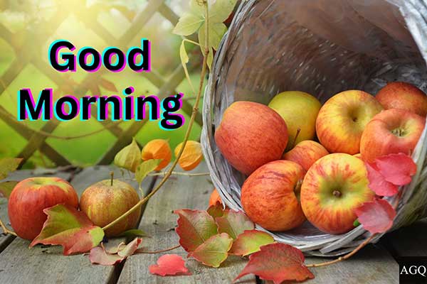 awesome Good morning fall images