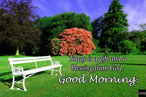 Good morning park images photo