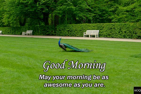 Good morning park images with quotes