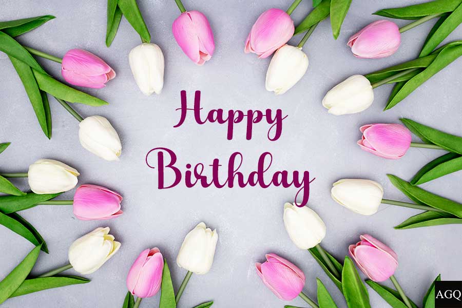 Happy Birthday Tulip Flower Images