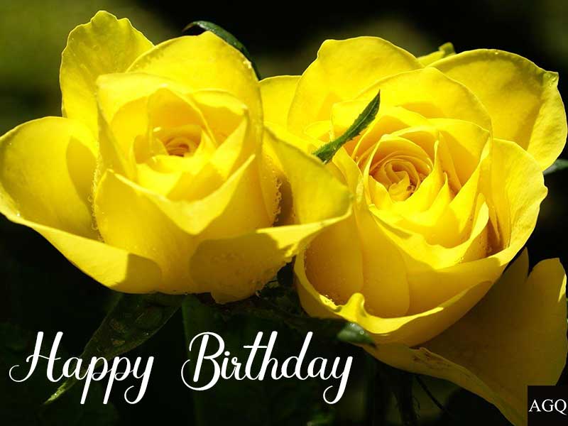 Happy Birthday yellow Rose Images 1