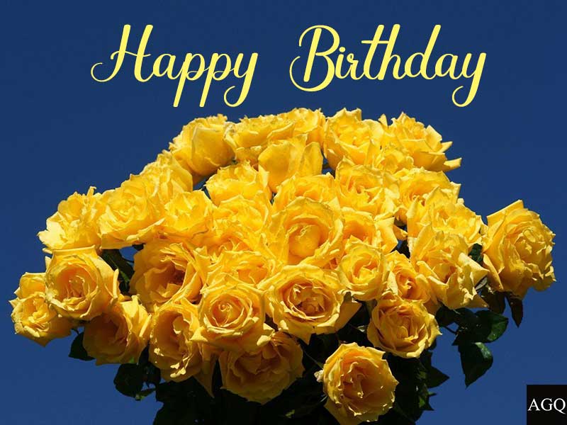 Happy Birthday yellow Rose Images Free