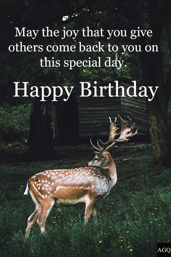 Happy Birthday Deer Image 2