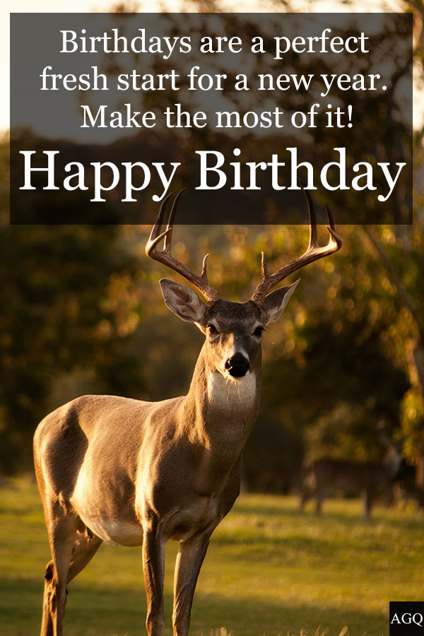 Happy Birthday Deer Image 4