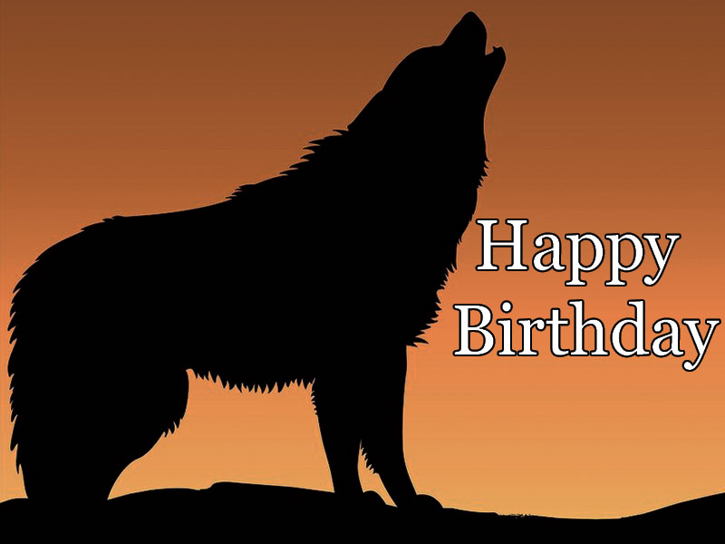 happy birthday wolf image 12