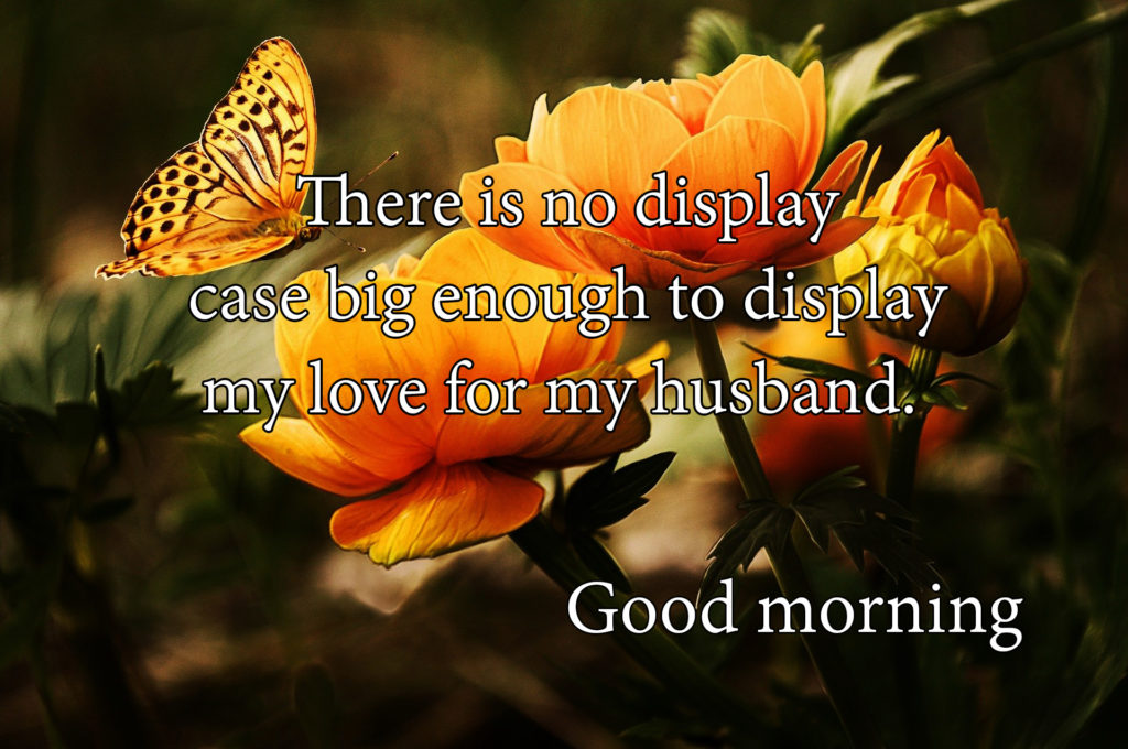 214+ Best Good Morning Quotes, Wishes For Husband