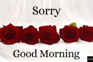 Romantic Good Morning sorry images