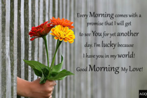 Good Morning Quotes For Girlfriend red yellow flowers