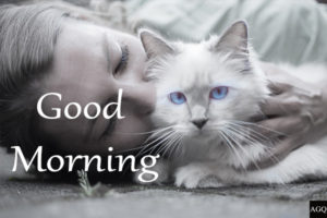 Good Morning CAT-KISS