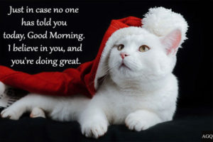 Good Morning Cat Images with quotes