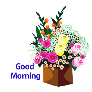 Good Morning flowers collection