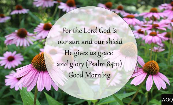Good Morning Bible Verses With Pictures | Lets Wake Up Early In The Morning