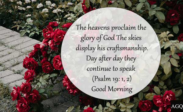 30+ Good Morning Bible Quotes And Verses With Images