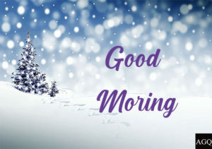 Good Morning Winter Images snow