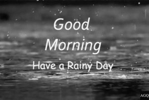 beautiful good morning rainy images