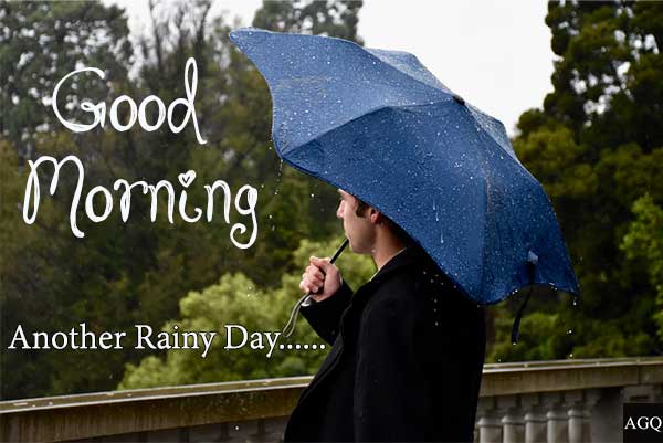 20 Good Morning Rainy Day Images And Pictures