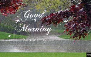 good morning monday rainy day images