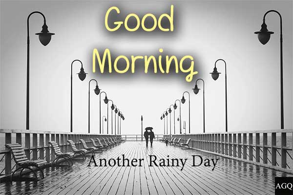 20 Good Morning Rainy Day Images And Pictures