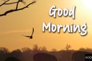 good morning sunrise wishes images