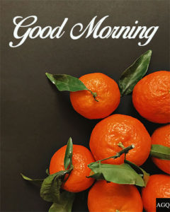 good morning images orange