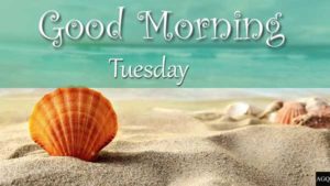 Good Morning Tuesday Images beach